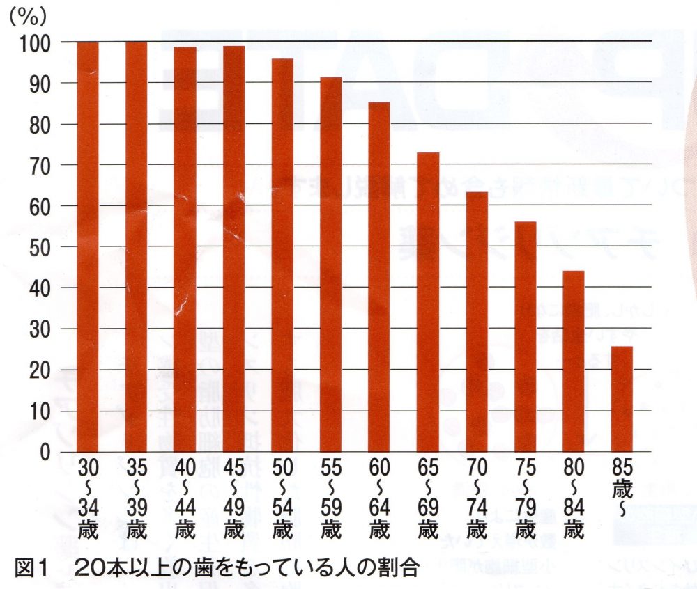 自分の歯の数を知ってますか？